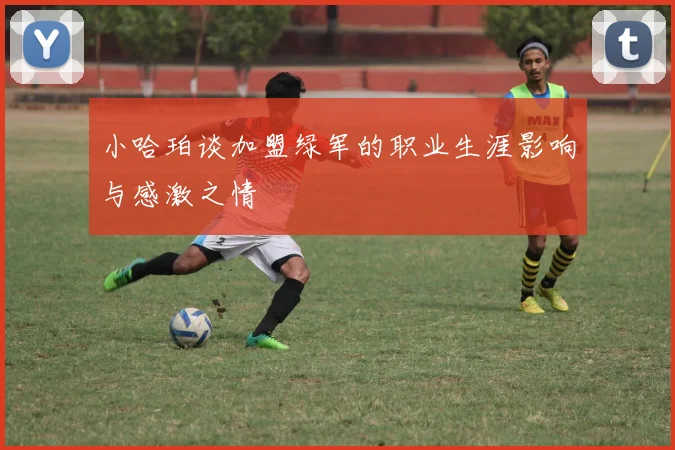 小哈珀谈加盟绿军的职业生涯影响与感激之情