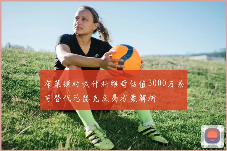 布莱顿对武什科维奇估值3000万或可替代范赫克交易方案解析