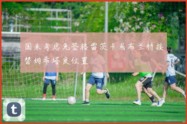 国米考虑免签格雷茨卡或布兰特接替姆希塔良位置