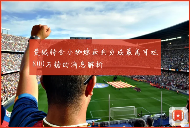 曼城转会小蜘蛛获利分成最高可达800万镑的消息解析