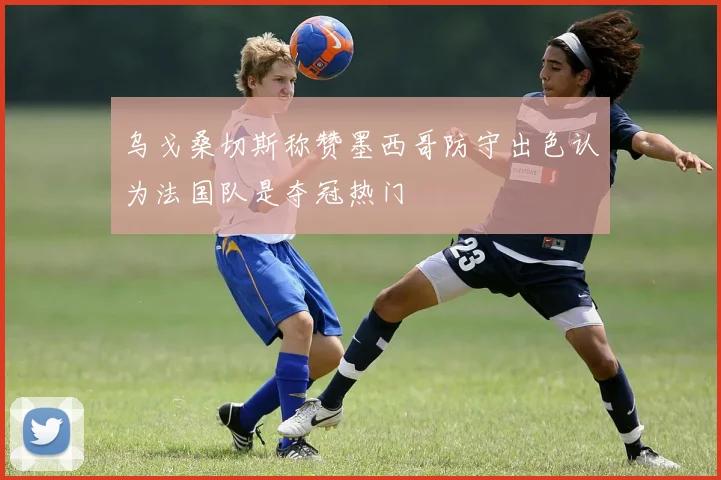 乌戈桑切斯称赞墨西哥防守出色认为法国队是夺冠热门